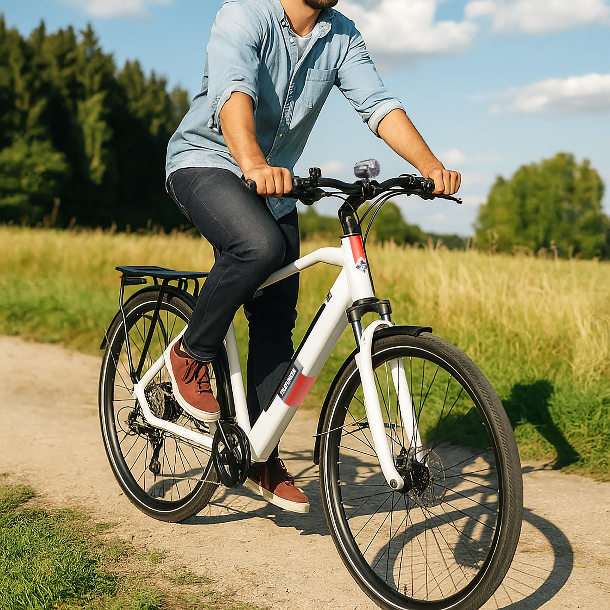 TELEFUNKEN E-Bike 28 Zoll Fahrrad für Herren | Trekking Pedelec mit 8-Gang Kettenschaltung & Scheibenbremsen | Elektrofahrrad mit 250 W Heckmotor & integriertem 417,6 Wh Li-Ion-Akku