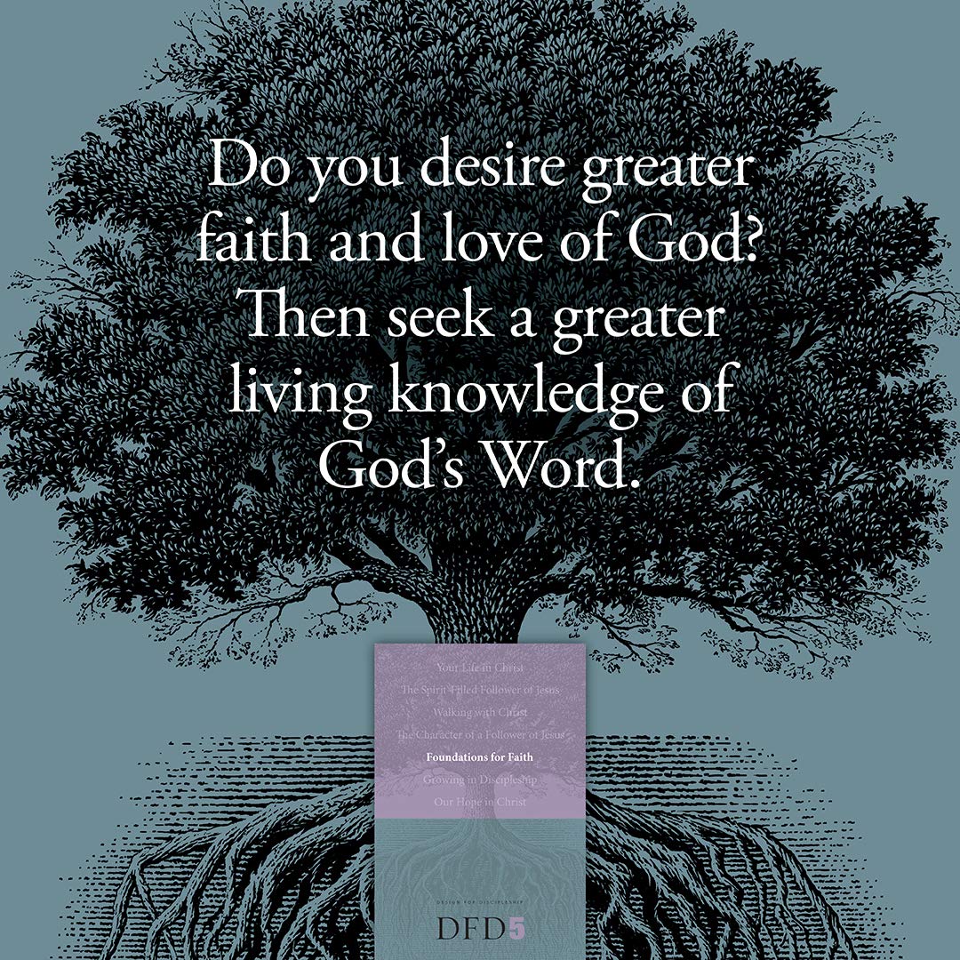Foundations for Faith (Design for Discipleship) - Image 6