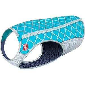 ruffwear cooling vest amazon