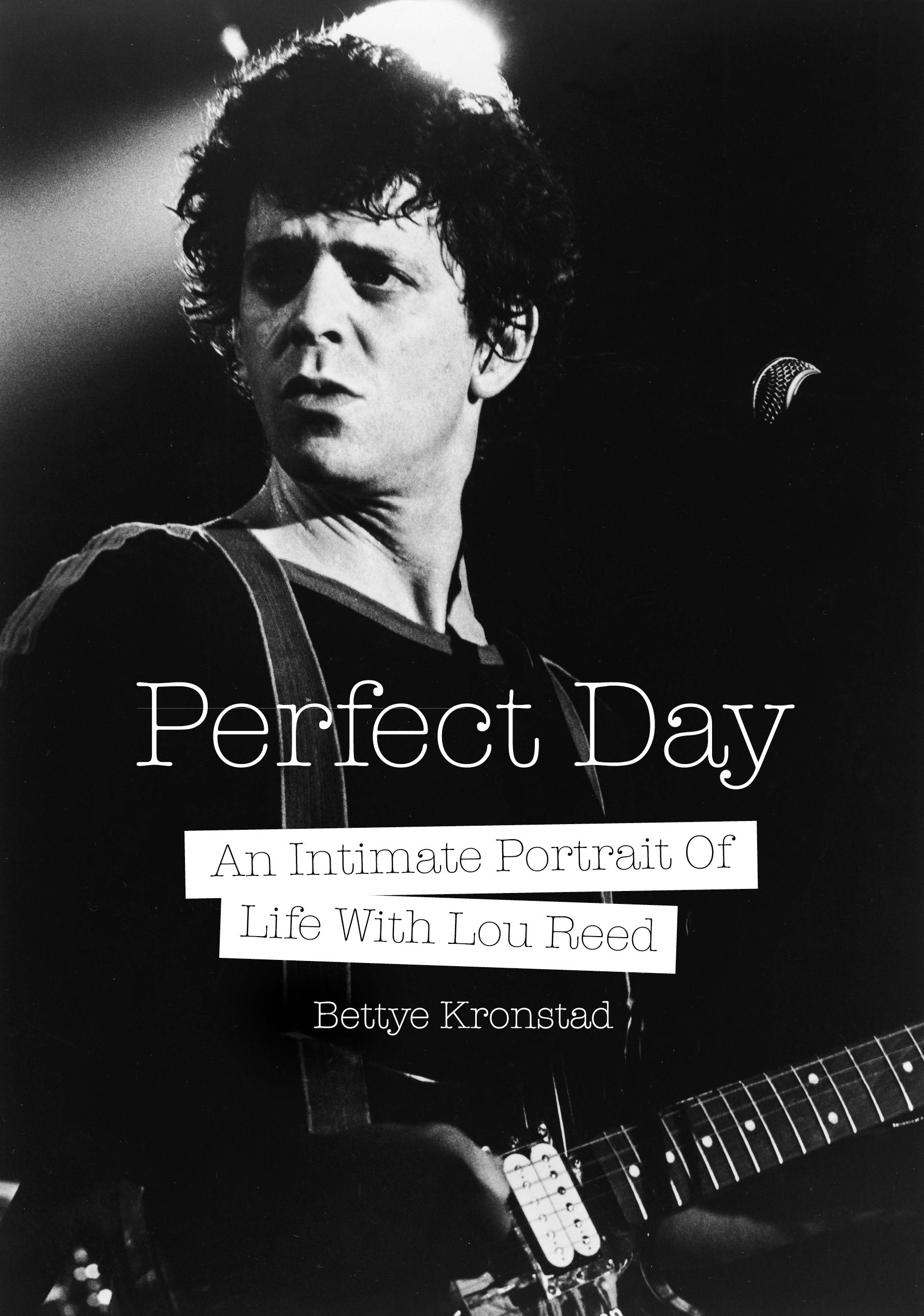 Lou Reed biography Perfect Day livre portrait intime rock