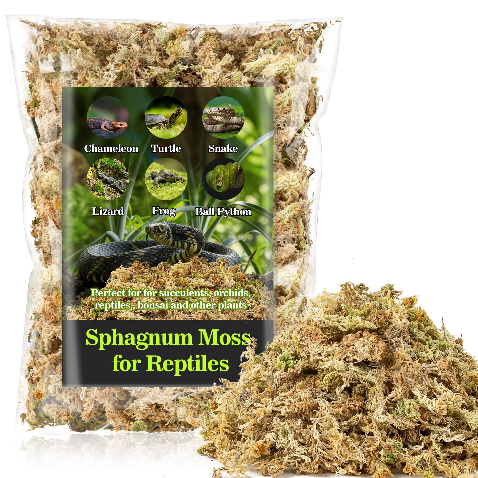 Sukh Sphagnum Moss for Reptiles - 3.5 OZ Reptile Peat Moss for Terrarium Bedding Reptiles Substrate for Reptile Tank, Snake, Leopard Gecko, Ball Python, Crested Gecko, Turtle, Frog, Hamster