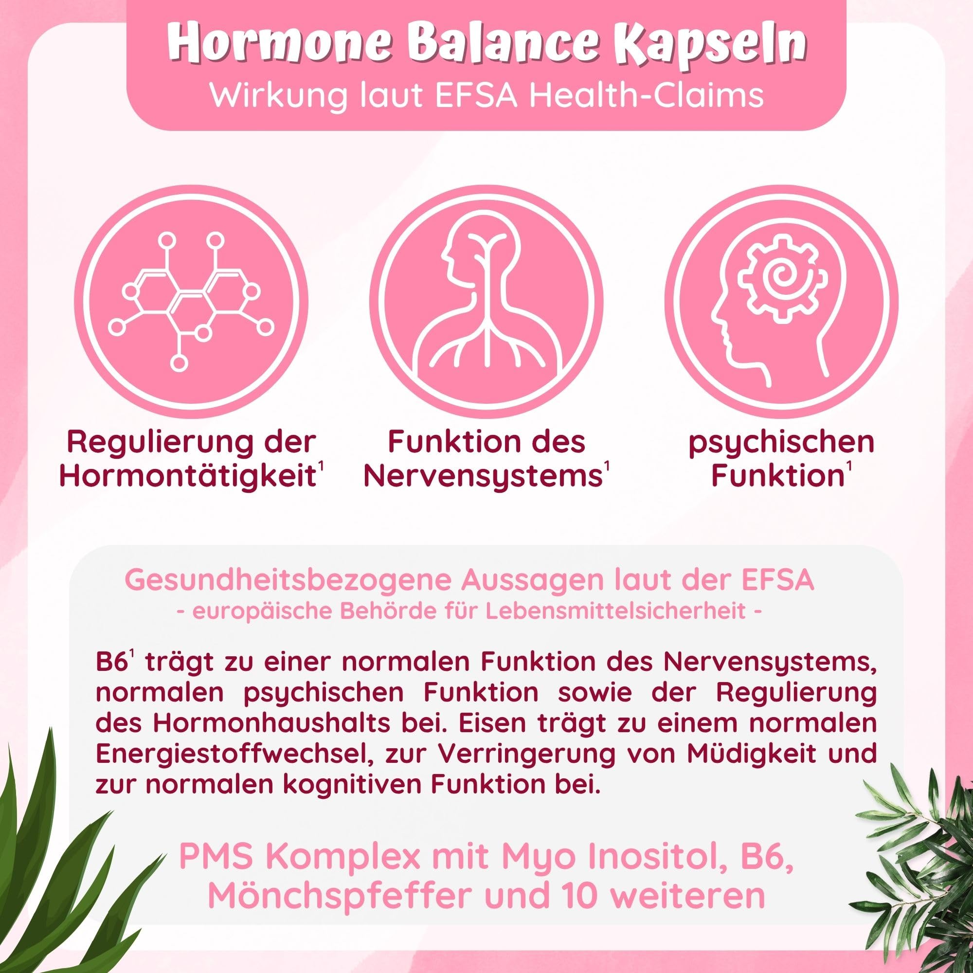 Hormon Balance Frauen PMS Kapseln - Myo-Inositol Mönchspfeffer hochdosiert | 240 PMS Komplex Hormone Balance Kapseln - Myo-Inositol OPC Gänsefingerkraut Acetyl-L-Carnitin Frauenmantel Mönchspfeffer & B6
