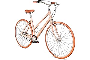 Priority Bicycles: Experience Comfort and Performance