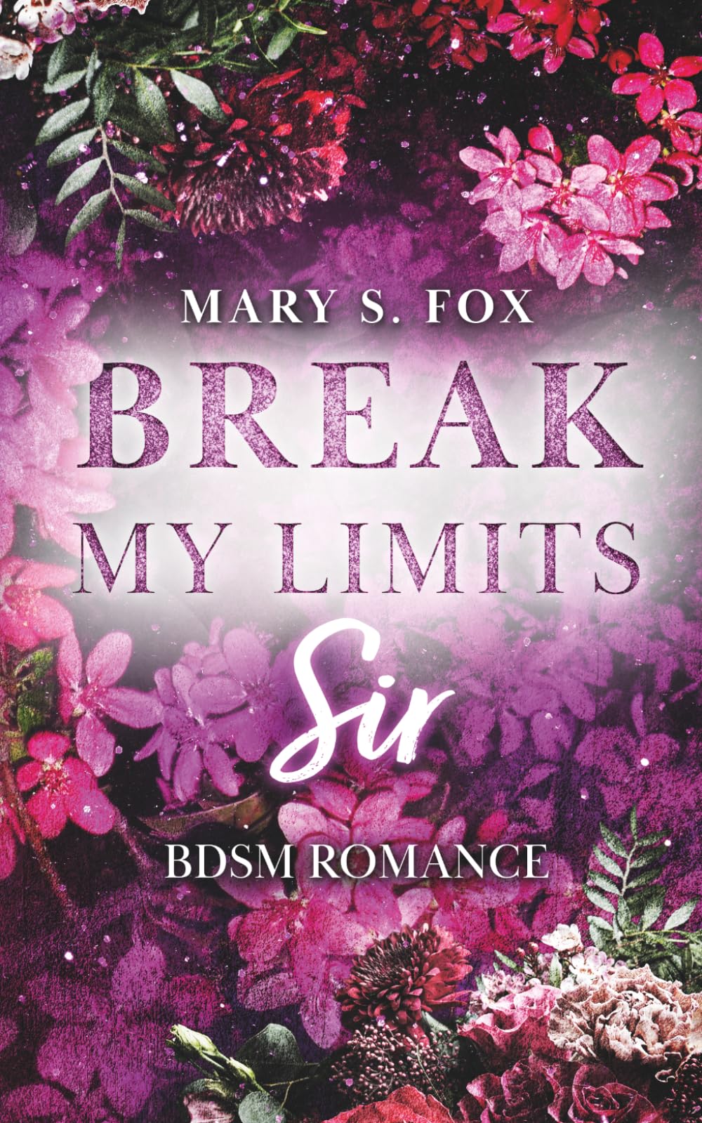 Break my limits, Sir (spicy Romance, Haters To Lovers) (Dear Sir)