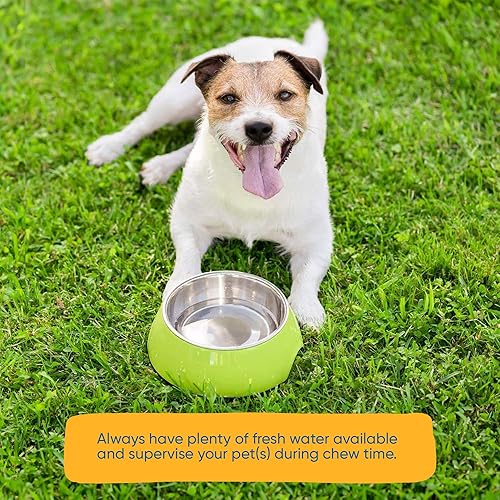 Miniatura 6 de Huesos grandes de cuero crudo de 8 a 9 pulgadas (15 unidades) Huesos naturales de alta calidad para masticables de larga duración | Ganado