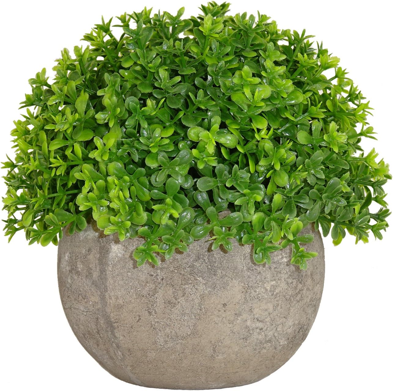 Small Artificial Topiary Plant in Pot, Baby's tears Grass Decoration, Fake Potted Plant for Office and Home Décor (Clover Green)
