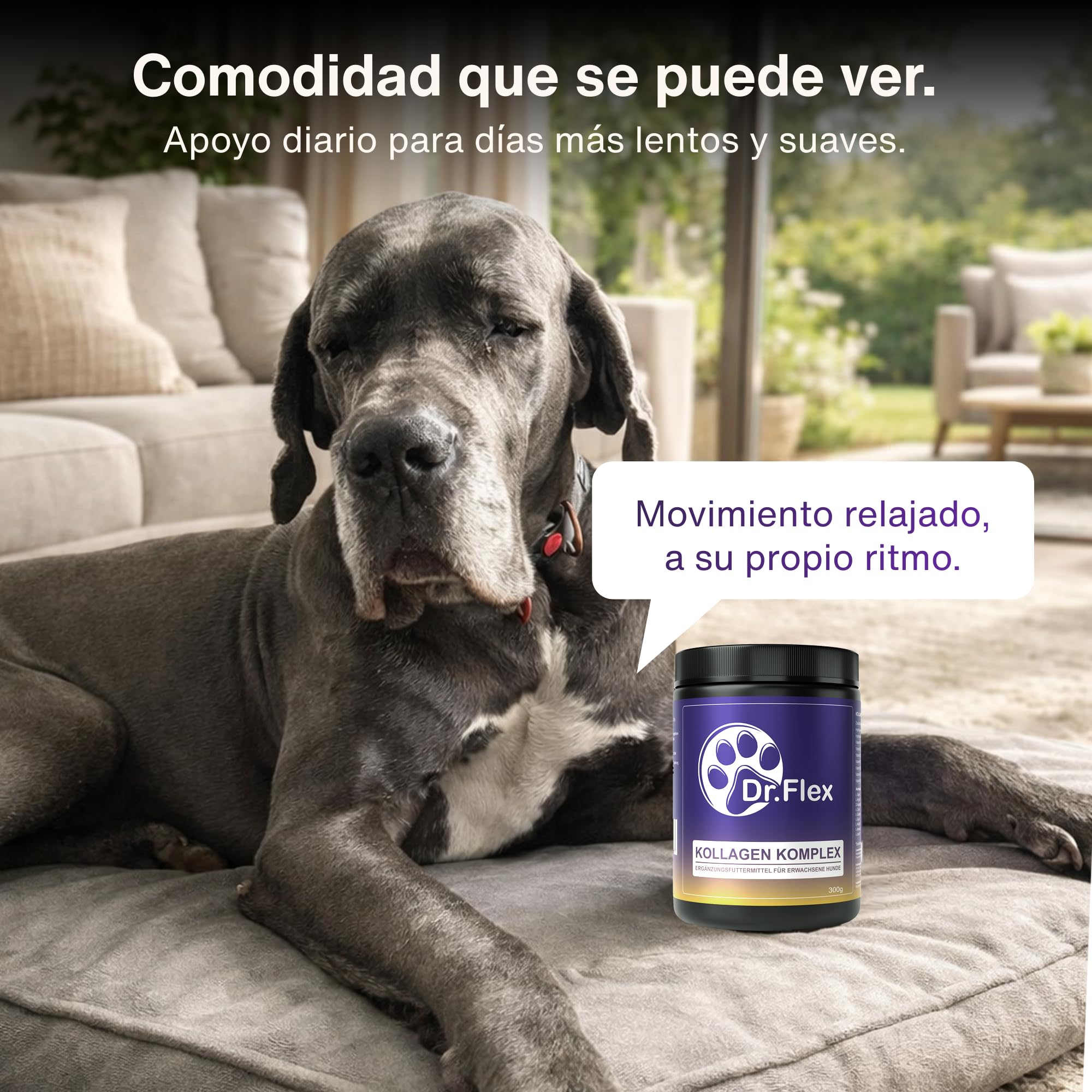 Dr. Flex colágeno para Perros 300 g - colágeno hidrolizado Tipo I II III bovino y Marino en Polvo para articulaciones Perro y Movilidad Complejo vitaminas Grupo B Perros Apoyo digestión Perro