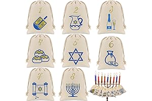 8 Gifts of Hanukkah DVD