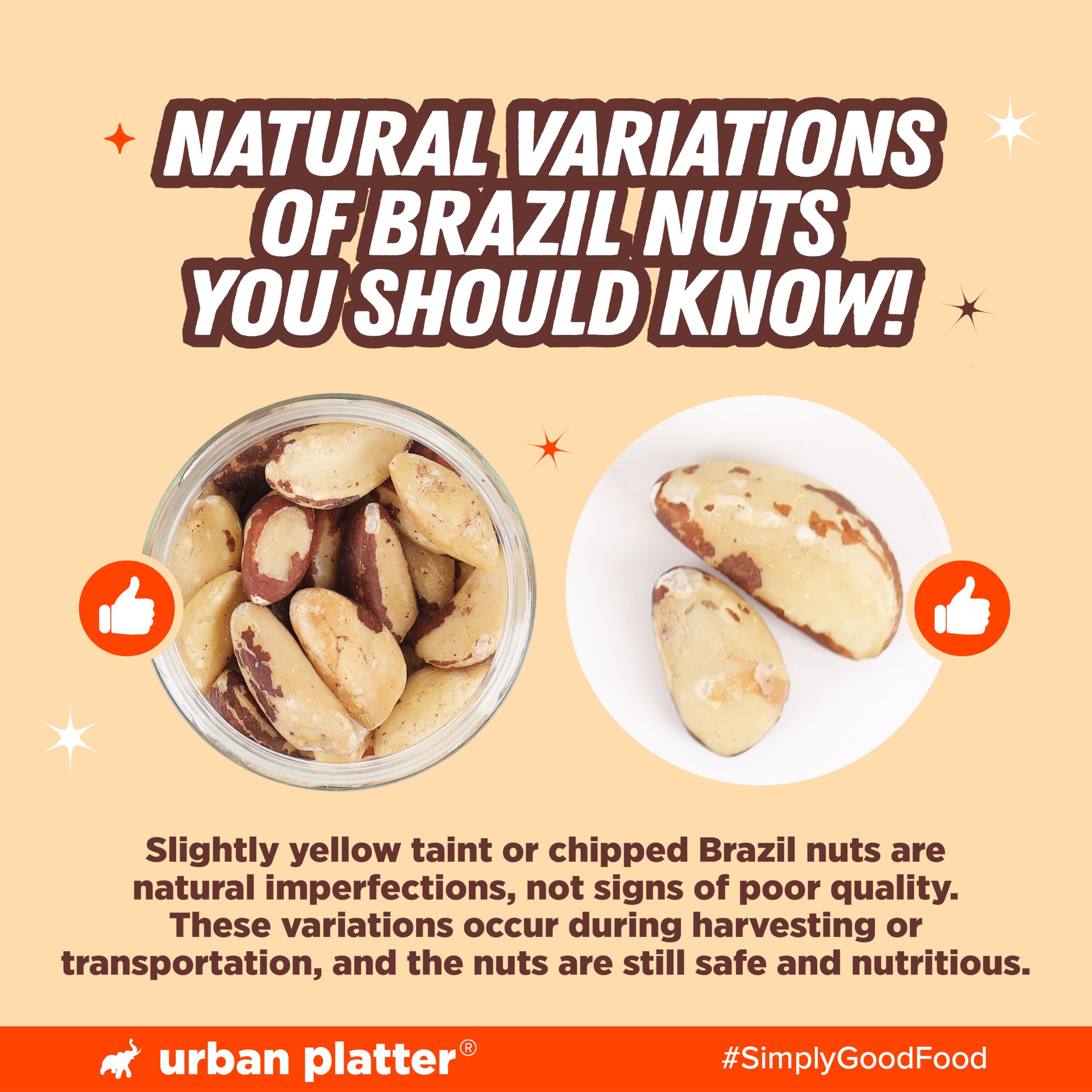 Urban Platter Brazil Nuts, 100g (Rich in Selenium | Superfood | Have 1 Daily | Product of Peru) 2