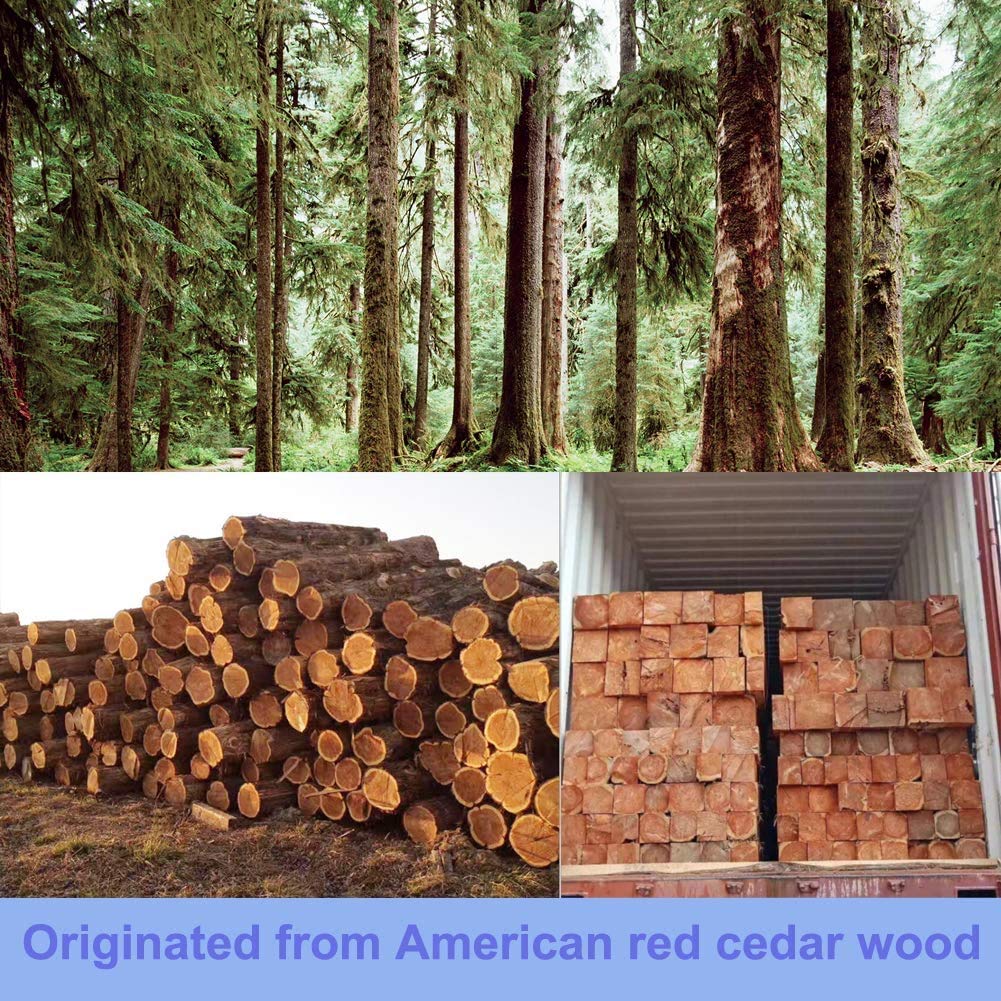 PROTETTIVO COMPLETO LEGNO PER PROTEGGERE E DECORARE I RIV 3153895067027