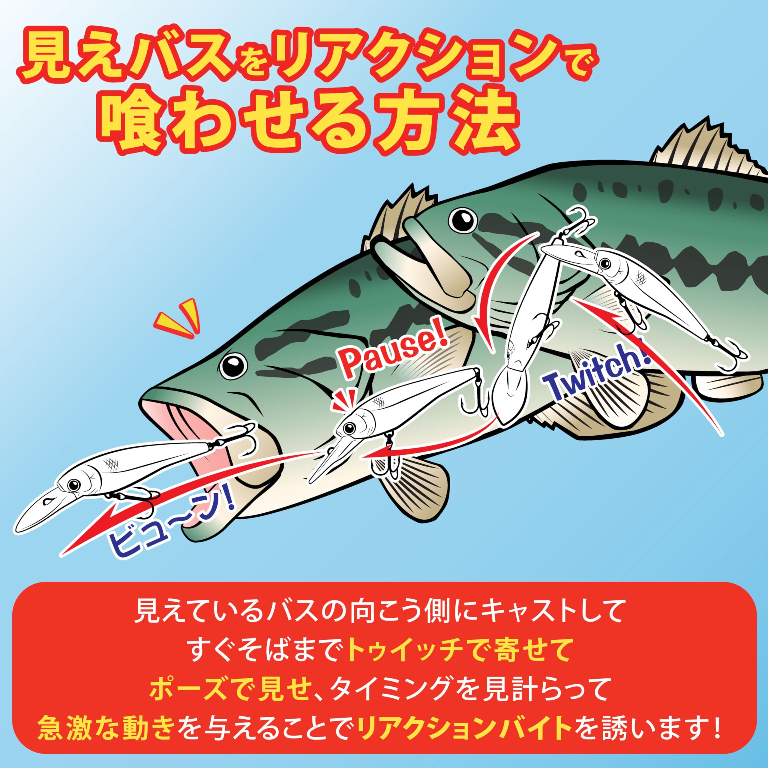 Amazon.co.jp: ラッキークラフト(LUCKY CRAFT)ベビーシャッド60SP