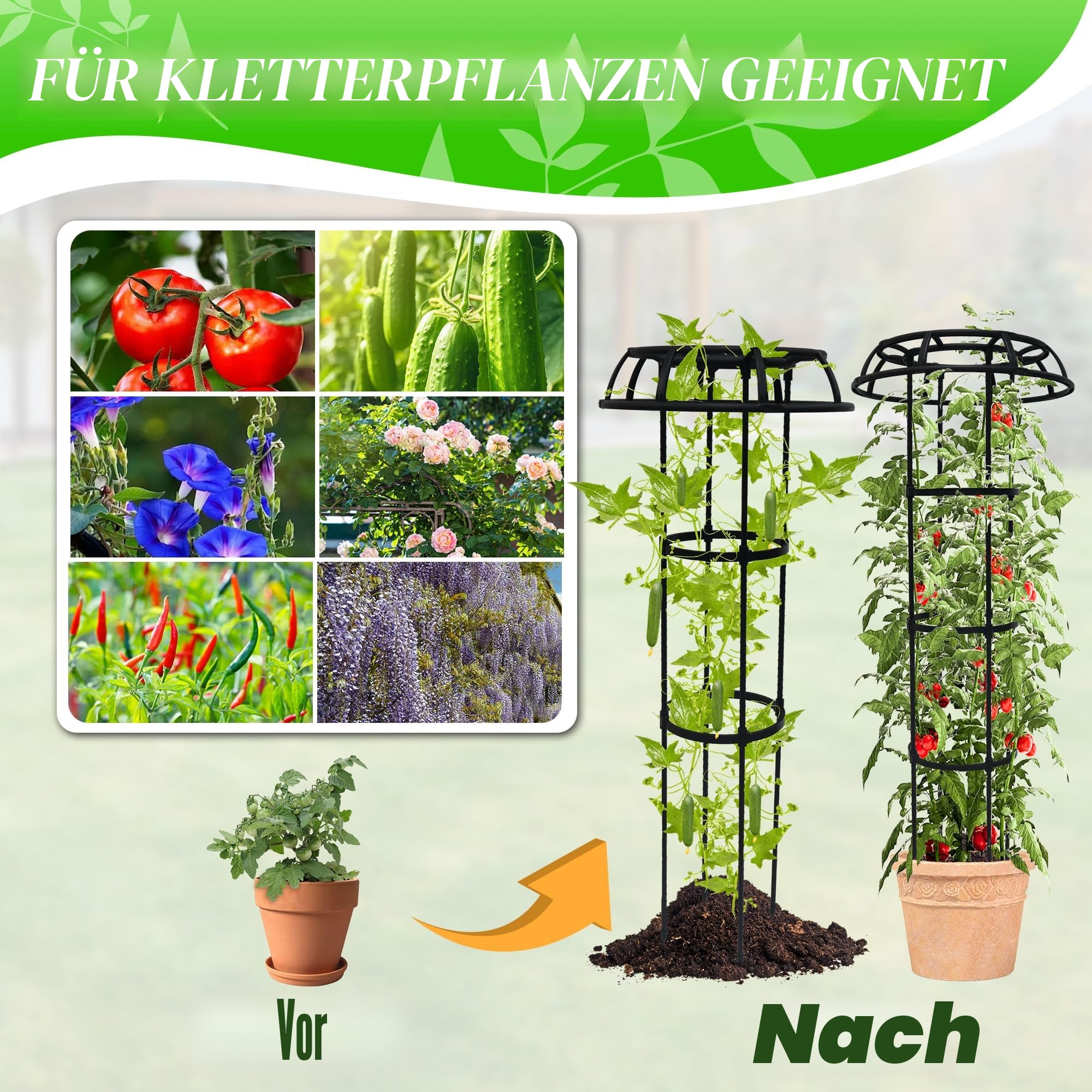 Garten Obelisk Spalier 165 cm für Kletterpflanzen, Rostfrei & Wetterfest aus Metall und Kunststoff, Klettergerüst für Rosen, Clematis, Gemüse im Topf oder Beet, Innen- und Außenbereich