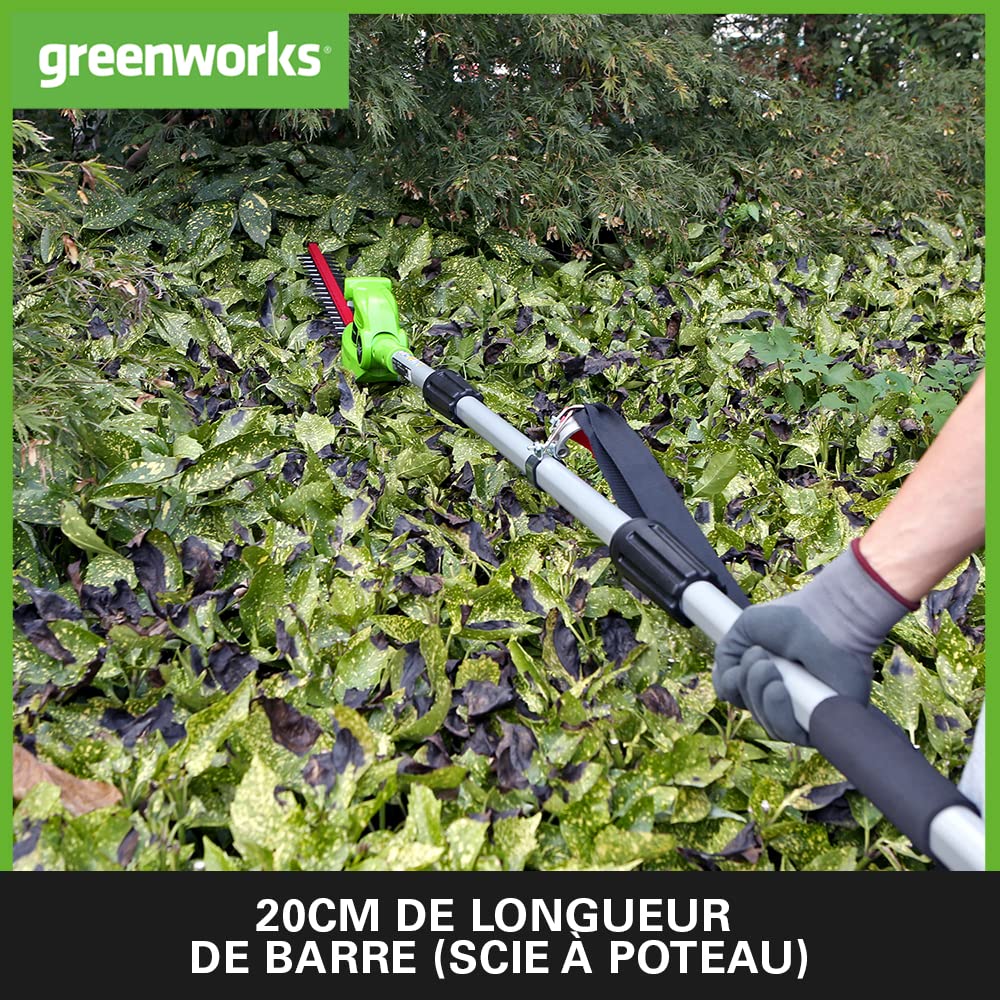 Greenworks G24PSHK2 Élagueuse et 51 cm Taille Haie à Batterie sur Perche 2 en 1 avec Bandoulière, Tronçonneuse 20 cm, Lames Double Action, Batterie 24V 2Ah et Chargeur, Garantie 3 Ans