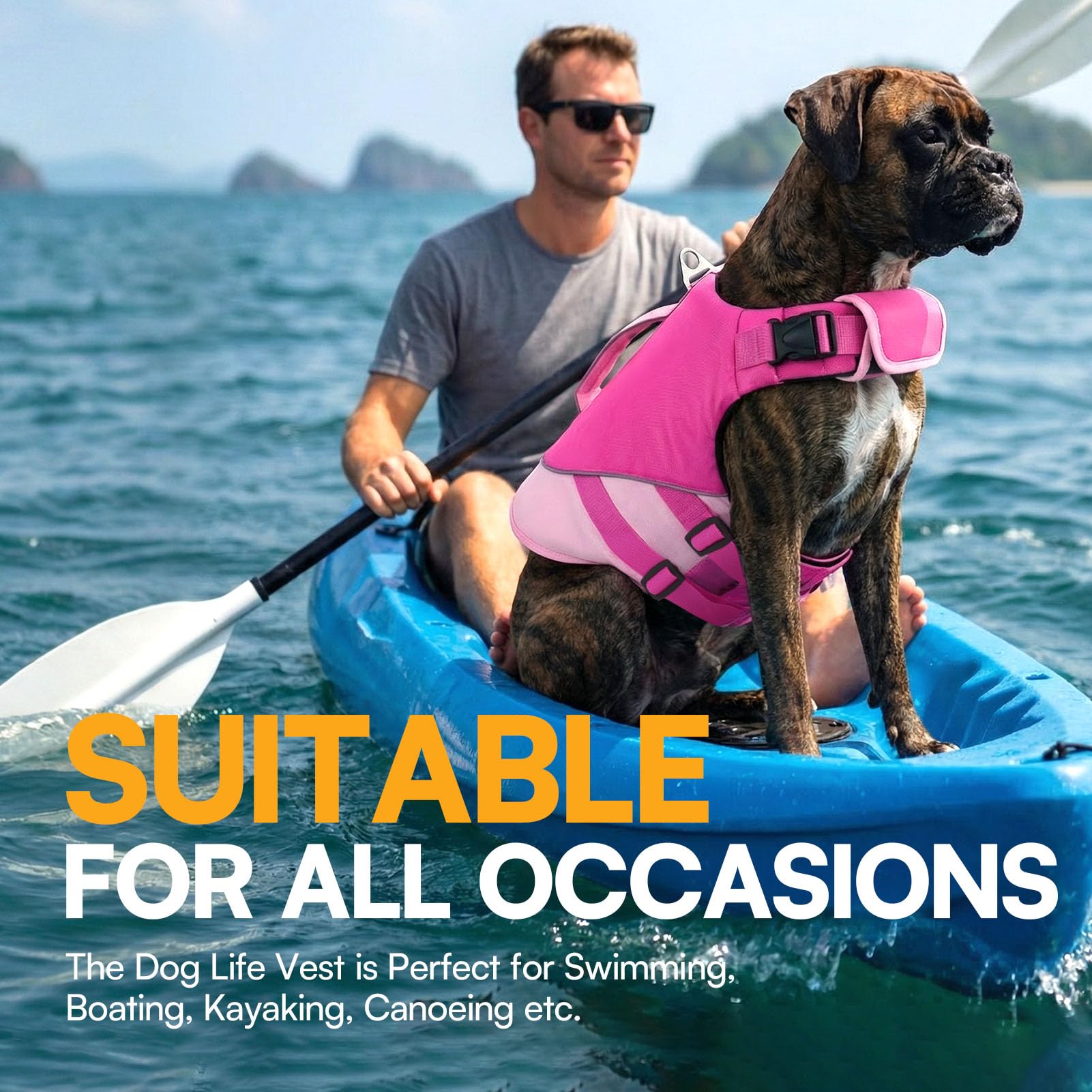 Queenmore Small Dog Life Jacket, Dog Life Vest for Swimming Boating, Puppy Swim Vest for Small Dogs, Ripstop High Visible Pet Water Vests with Strong Rescue Handle, Pink S - 2