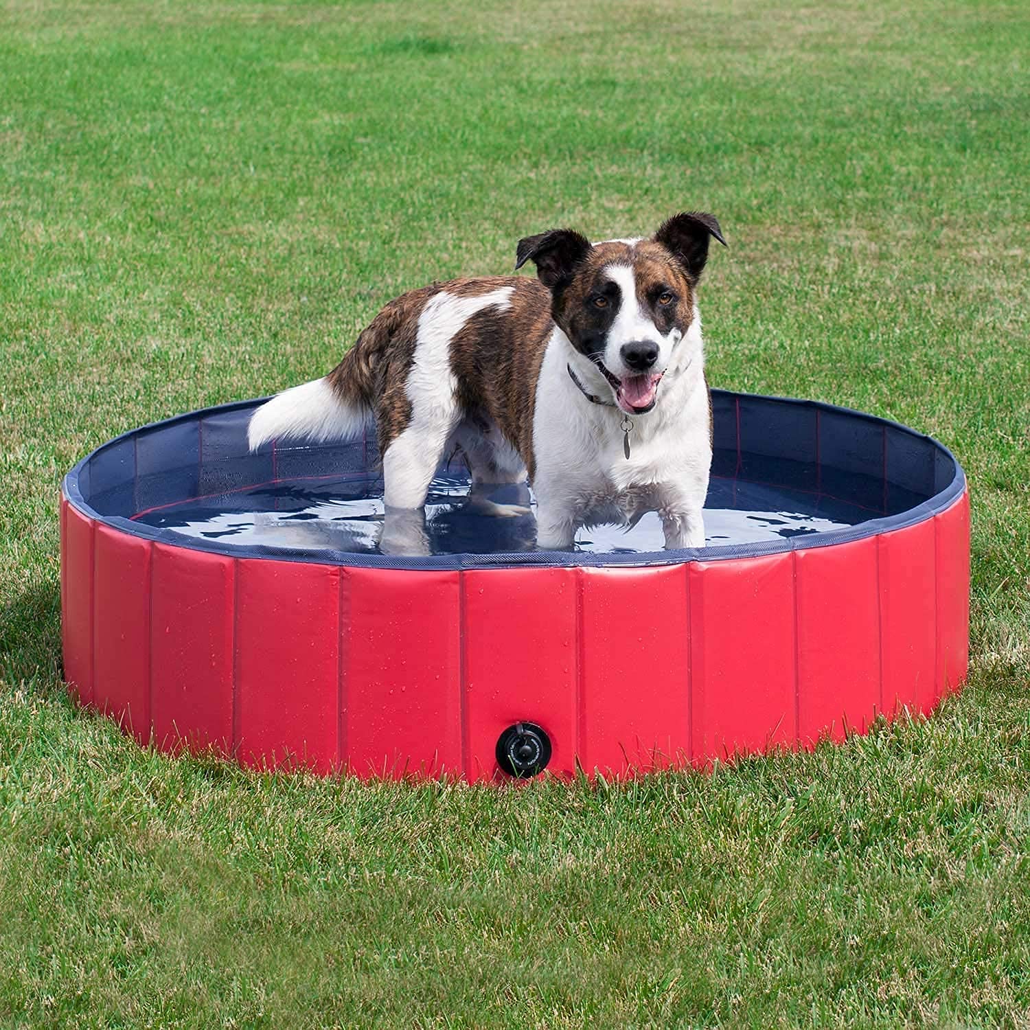 See full amazon price history chart for HUNK SHOPPERS Foldable Dog Cat Pet Swimming Pool Bathing Tub Kiddie Water Pond for Dogs Cats and Kids in Summer/ Winter Bath Portable Perfect Backyard/Outside Playing (Large), Multicolour HUNK SHOPPERS Foldable Dog Cat Pet Swimming Pool Bathing Tub Kiddie Water Pond for Dogs Cats and Kids in Summer/ Winter Bath Portable Perfect Backyard/Outside Playing (Large), Multicolour (B09DWCSBH3) Amazon Price History, Amazon Price Tracker