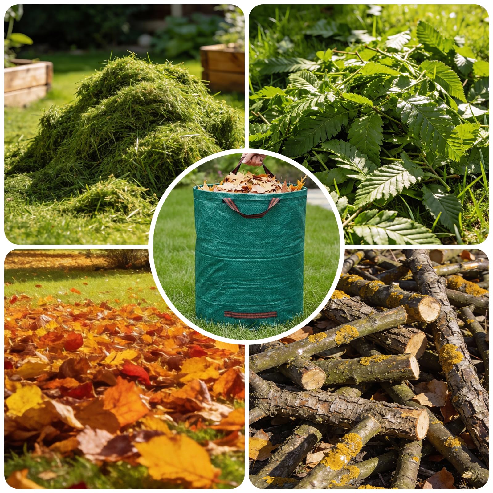 View 5
