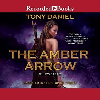 The Amber Arrow Audiobook by Tony Daniel episode artwork