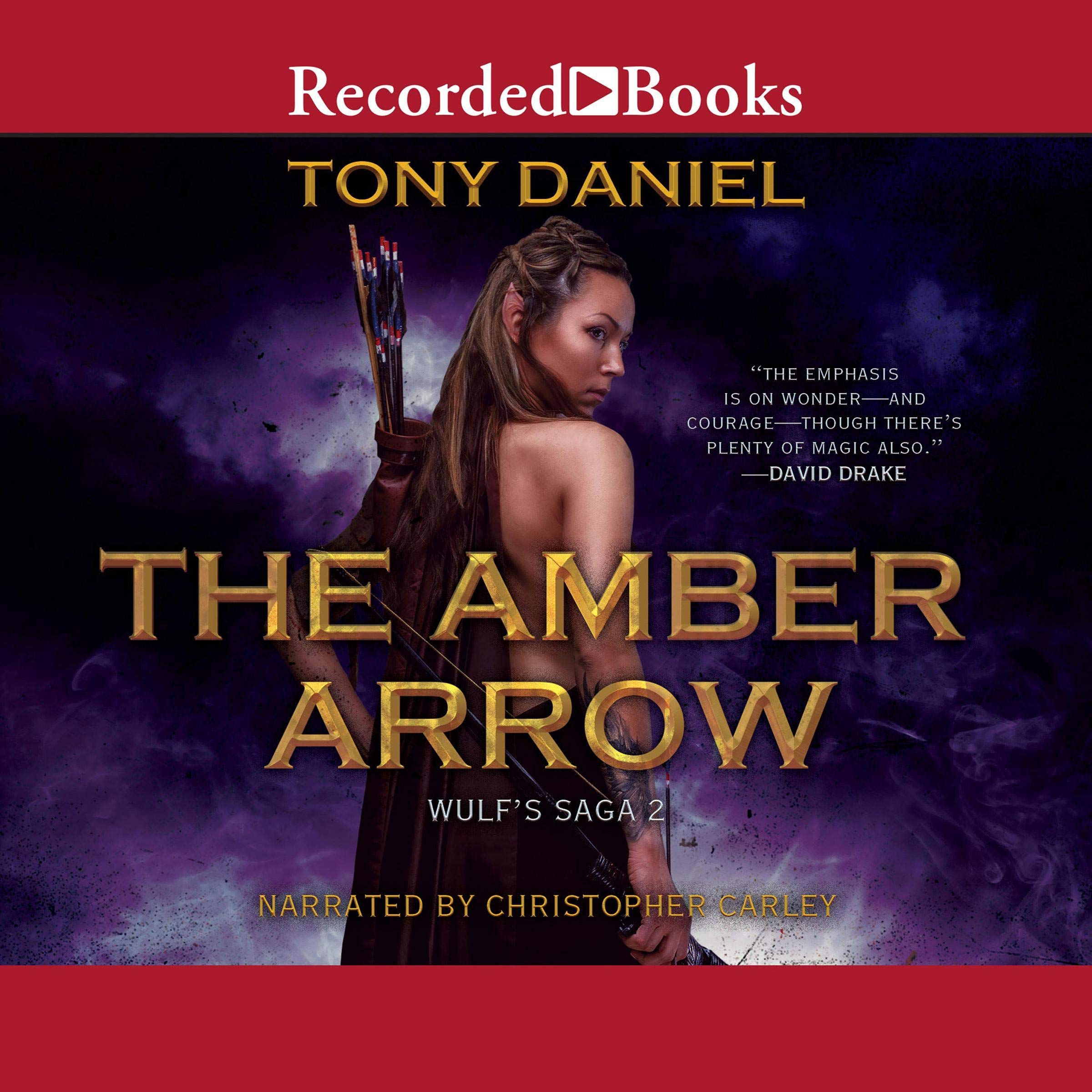 Cover art for The Amber Arrow