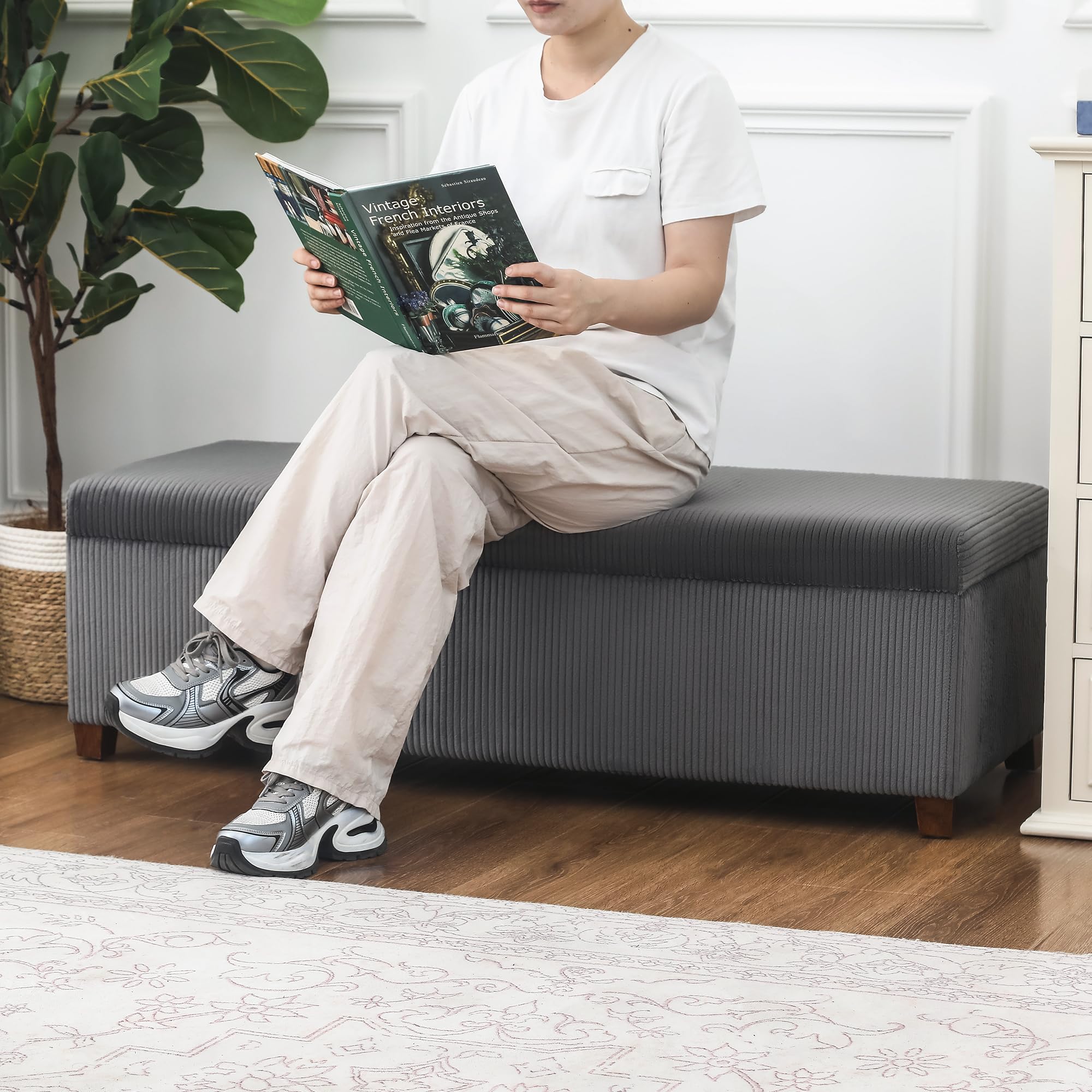 https://m.media-amazon.com/images/I/81QwSfg9wRL.jpg