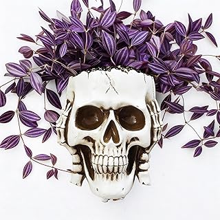 Skull Wall Planter Skull Planter for Halloween Indoor Outdoor Plants, Gothic Spooky Face Head Hanging Flower Pot with Drainage for Fence Decoration (Don't Listen White)