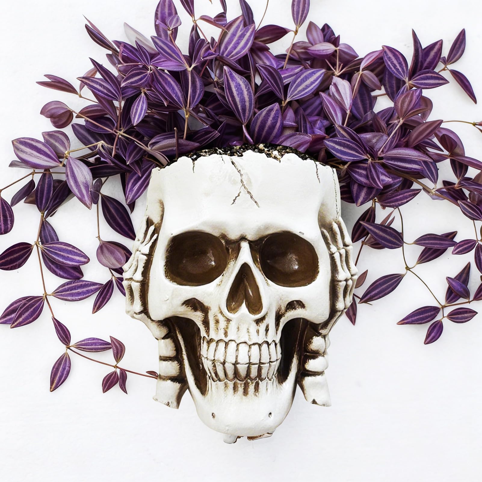 Rebecca online Skull Wall Planters for Indoor Plants Hanging Skull Planter Gothic Planter White Resin for Halloween Decor (White-Don't Listen)