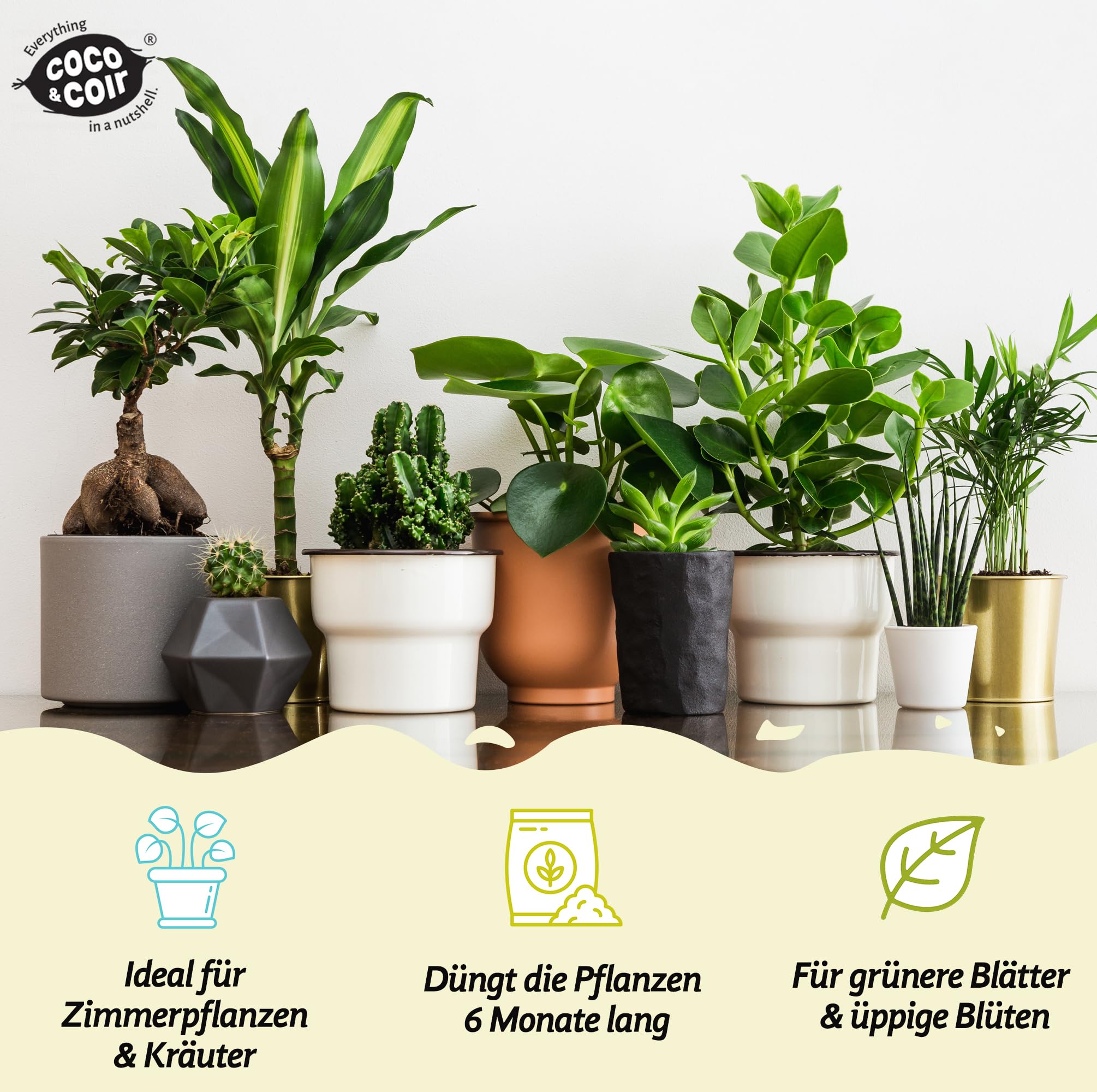Kokos & Kokosfaser Zimmerpflanzen-Mix, torffreie Blumenerde fr  Zimmerpflanzen, Pflanzennahrung, angereicherter Zimmerpflanzen-Kompost mit  Zimmerpflanzen-Dnger-Formel (9L) : Amazon.de: Garten