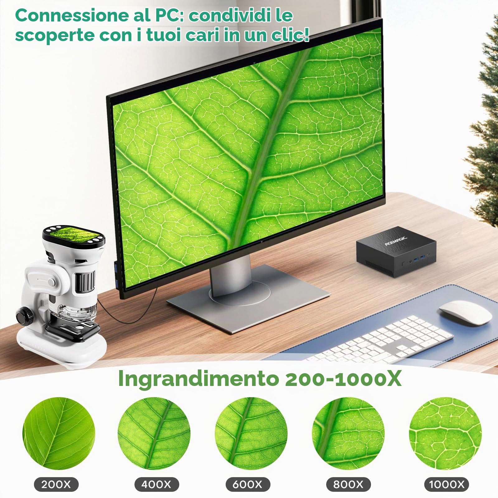 3 in 1 Microscopio Digitale per Bambini 1000X Microscopio Portatile da 2.0" con 6 Luci LED Regolabili 14pcs Preparato Slide Esemplare e Scheda 32 GB, Natale e Compleanno