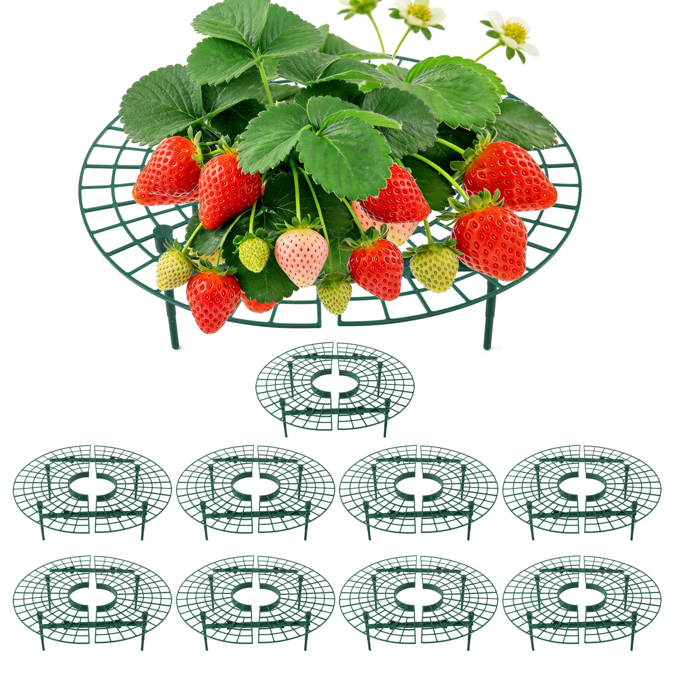 Support pour Plants de Fraises CNNIK, 10 Supports Ronds en Paquet pour Garder Les Baies Hors du Sol, Supports de Jardin réutilisables pour la Culture de Fraises en Plein air