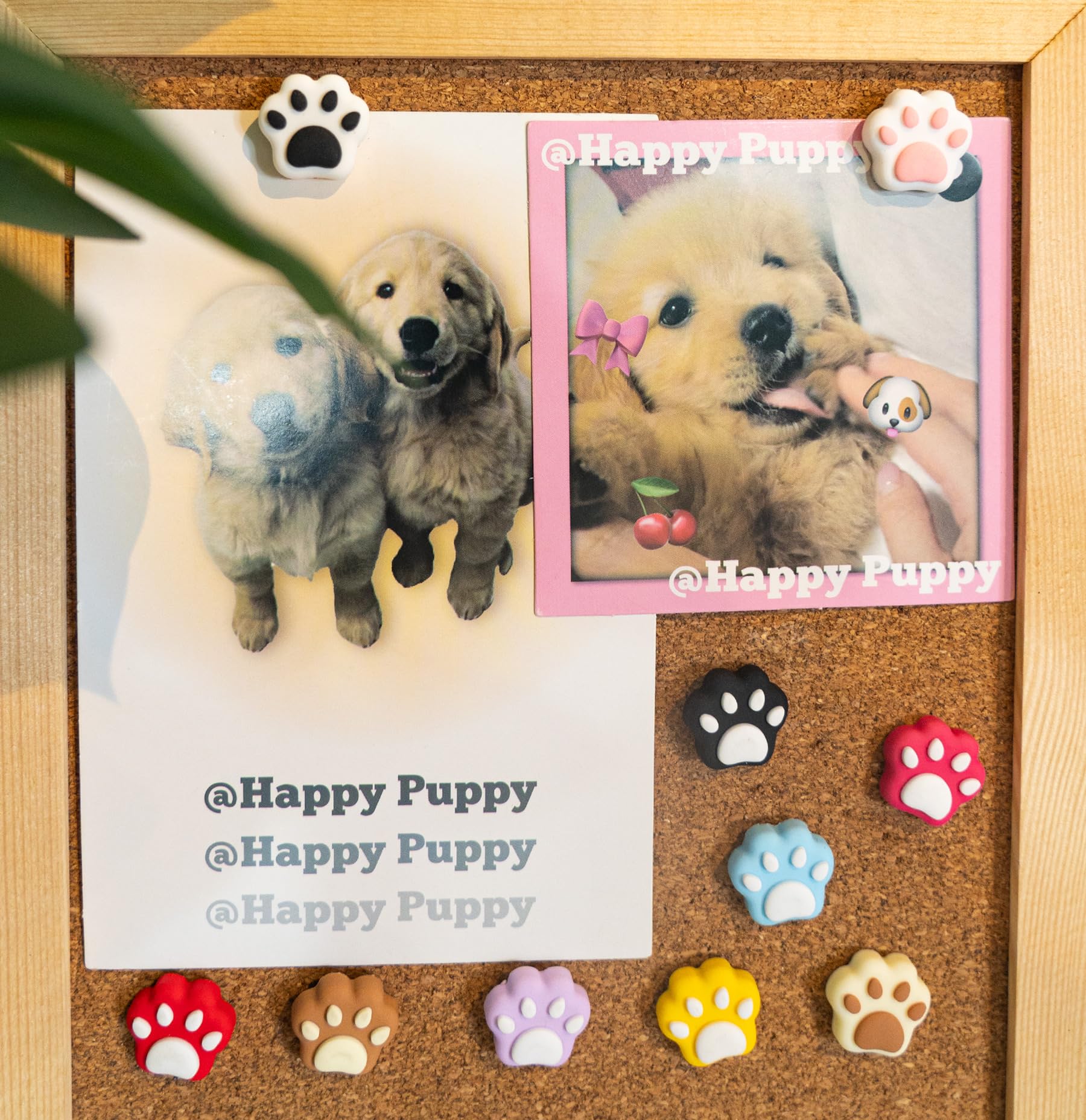 30 chinchetas para tablón de anuncios, chinchetas de gato, tachuelas decorativas para el pulgar, lindos pines de perro para mujer, decoración de oficina, aula, decoración del hogar (30 patas de gato)