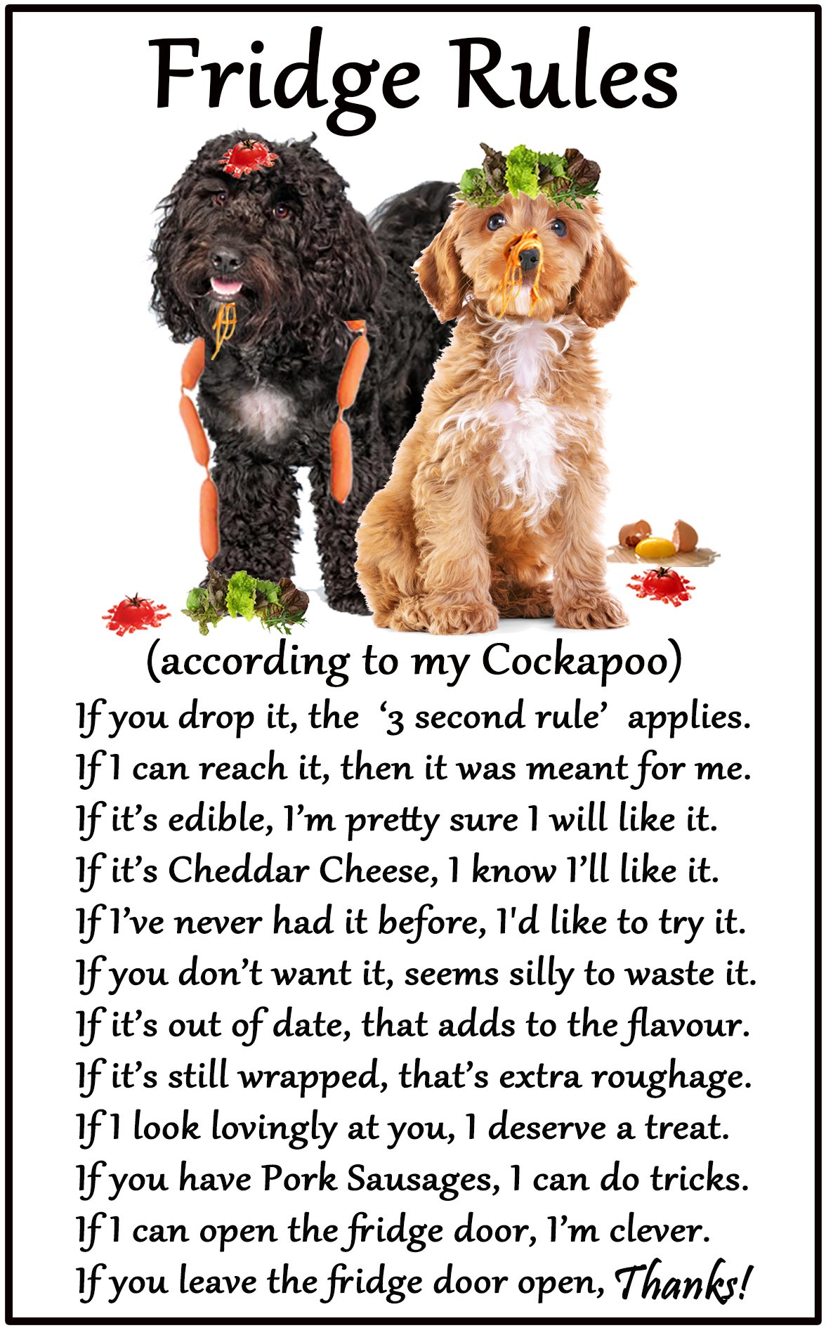 Fridge Magnets White Cockapoo Gift - Fridge Rules - Large Flexible Fun Fridge Magnet- Size 16Cms X 10 Cms (Approx. 6" X4")