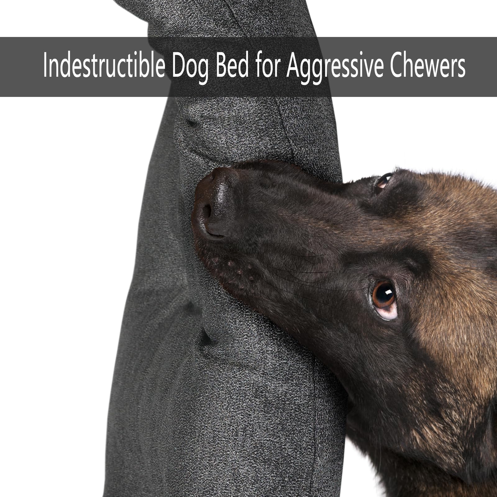 emma hundebett Orthopdisches Hundebett EMMA Grau