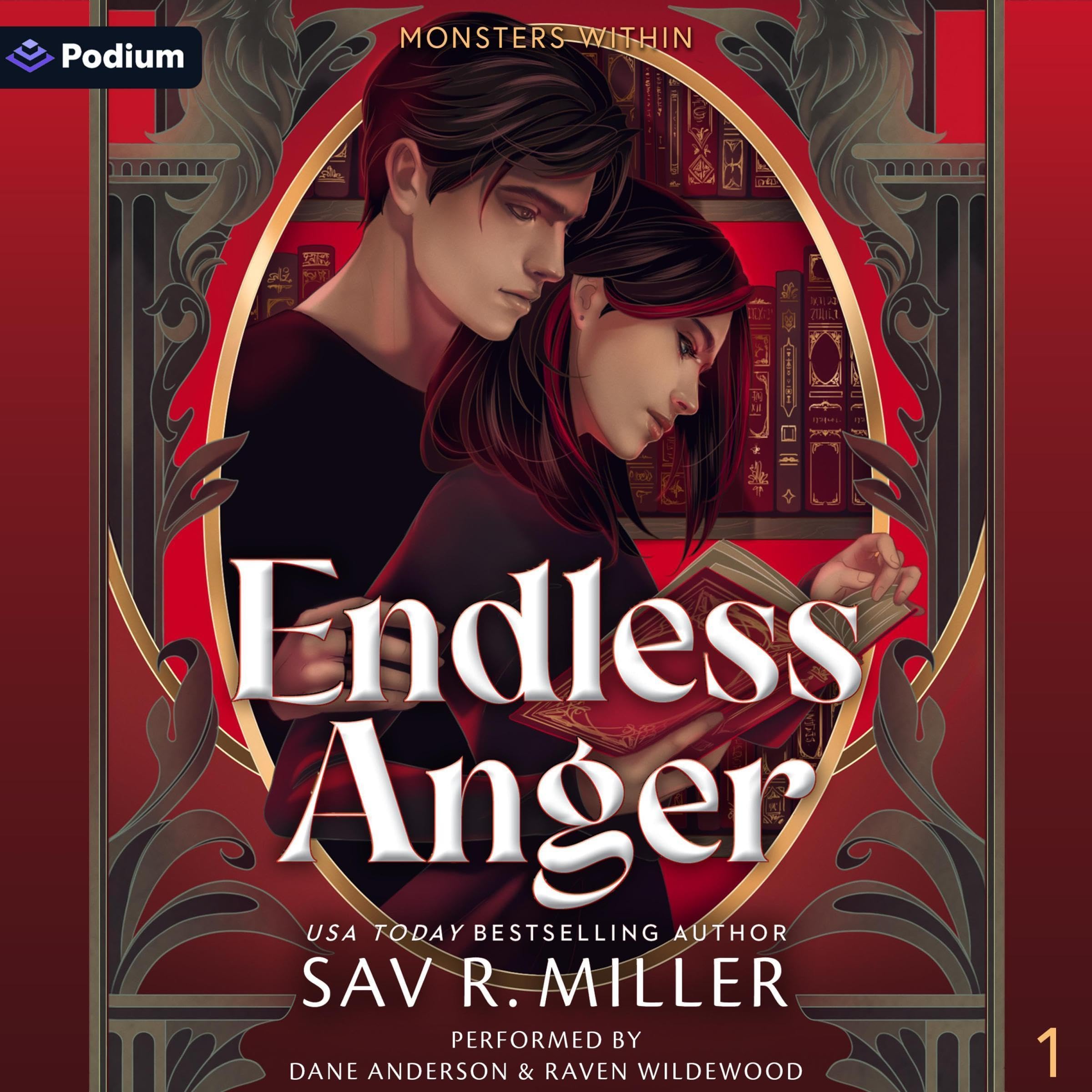 Cover art for Endless Anger