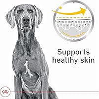 Vista 2 de Royal Canin Canine Care Nutrition - Alimento para perros adultos con salsa para el cuidado de la piel sensible, 13.5 onzas (paquete de 12)