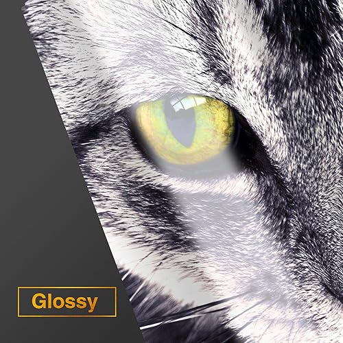 Miniatura 2 de A-SUB Papel fotográfico de alta calidad, alto brillo, 8.5 x 11 pulgadas, 66 libras para impresoras de inyección de tinta, 50 hojas, de una cara