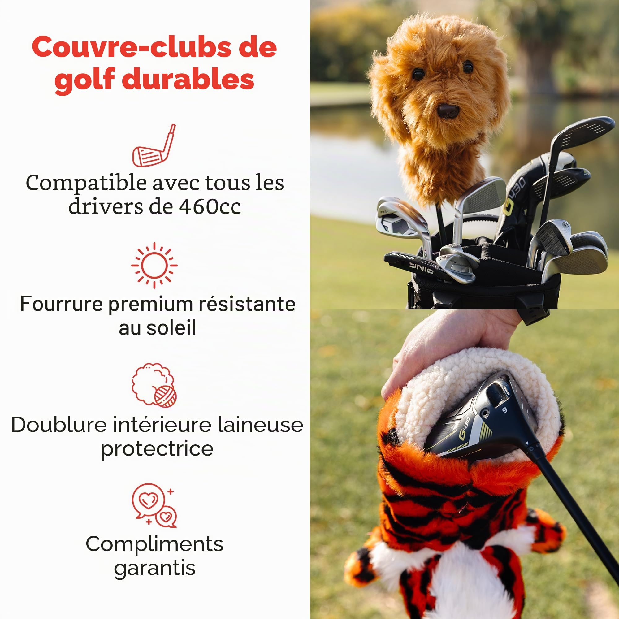 Daphne's Couvre-club fantaisie Corgi