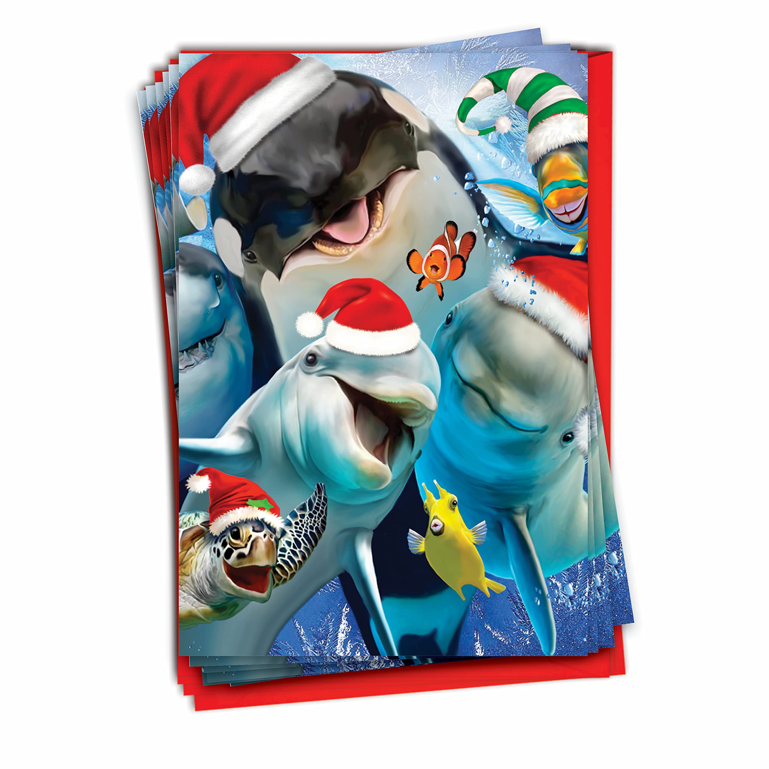 Amazon | The Best Card Company 動物クリスマスカード12枚 バルク