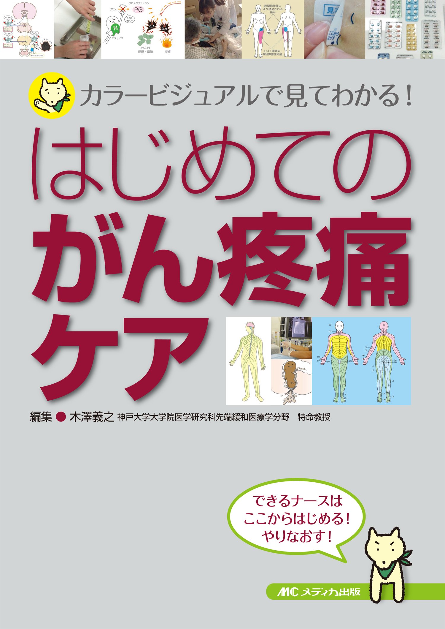 はじめてのがん疼痛ケア: カラービジュアルで見てわかる! | 木澤 義之