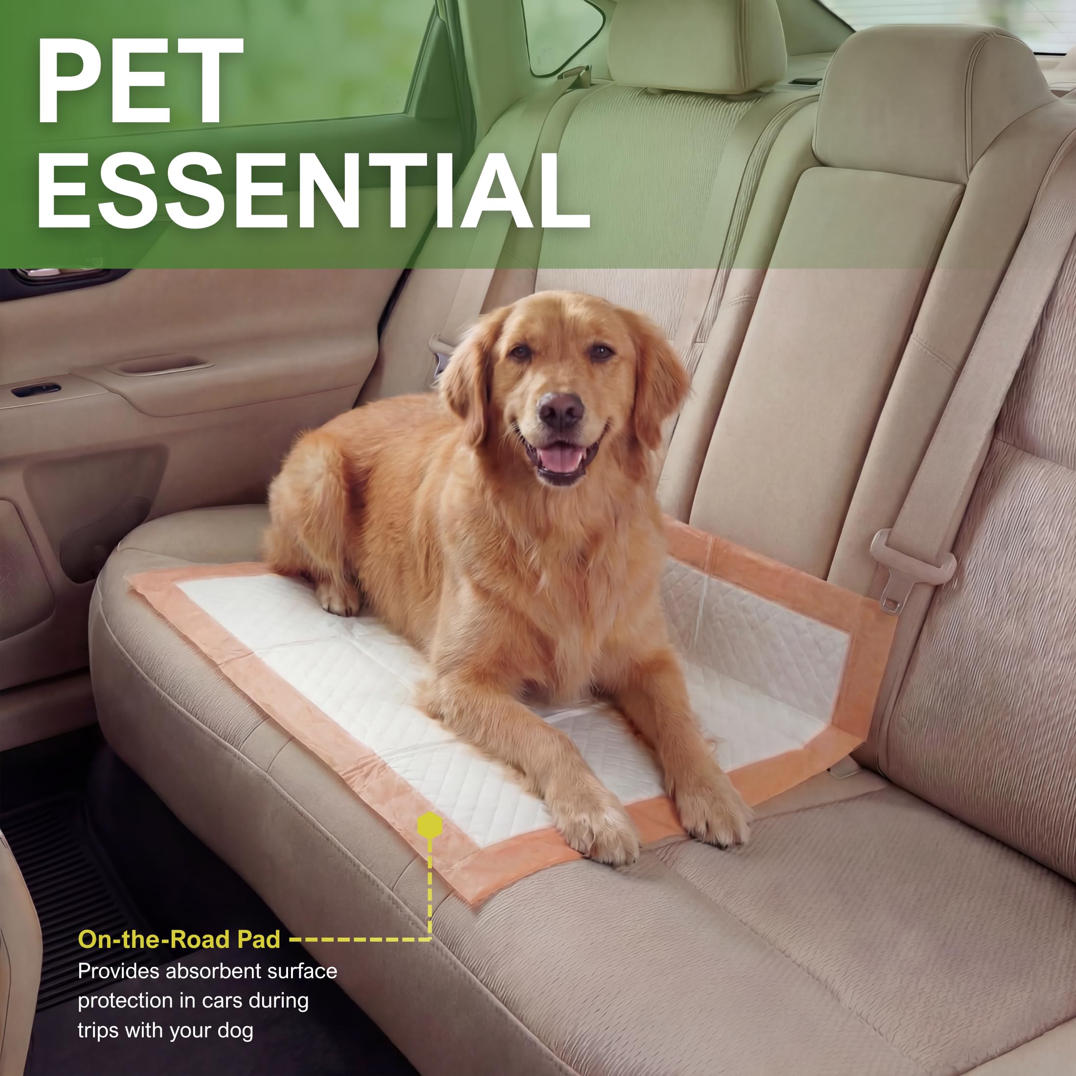 MED PRIDE Lot de 100 tapis de dressage pour chien avec appât jetables, ultra absorbants avec technologie à 6 couches - Anti-fuites et imperméables pour chiens, chats, lapins [55,9 x 61 cm]