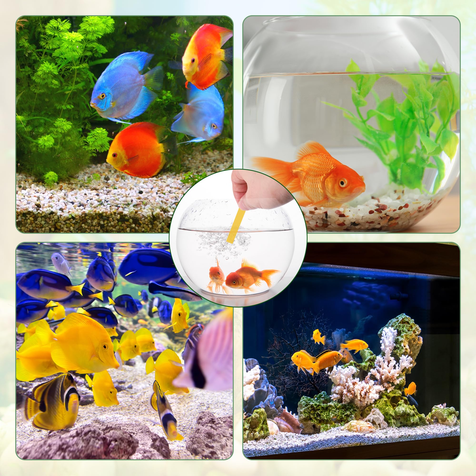 6 en 1 Aquarium Kit Outil, Acier Inoxydable Pince, Ciseau et Épuisette Aquarium, Accessoires Aquariums pour Élagage d'herbe d'eau dans Réservoir Poissons et Plantes d'Aquarium(Argenté)