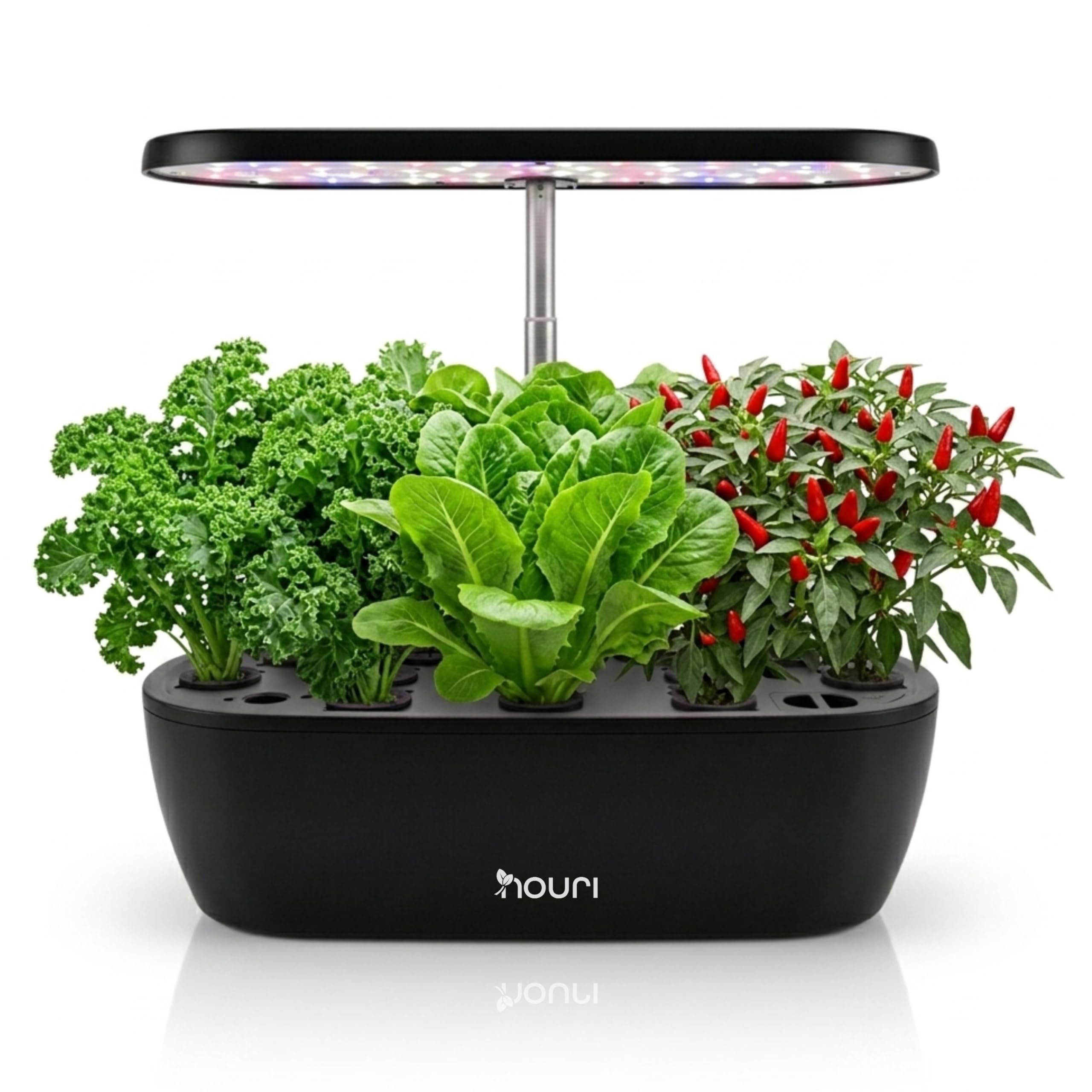 Nouri Hydroponics Growing System, 12 pod Smart Indoor Herb Garden Kit with LED Grow Lights, Hydroponic Herb Garden Indoor for Plant Lovers, Gardeners, Kitchen, Tomato Seeds Included
