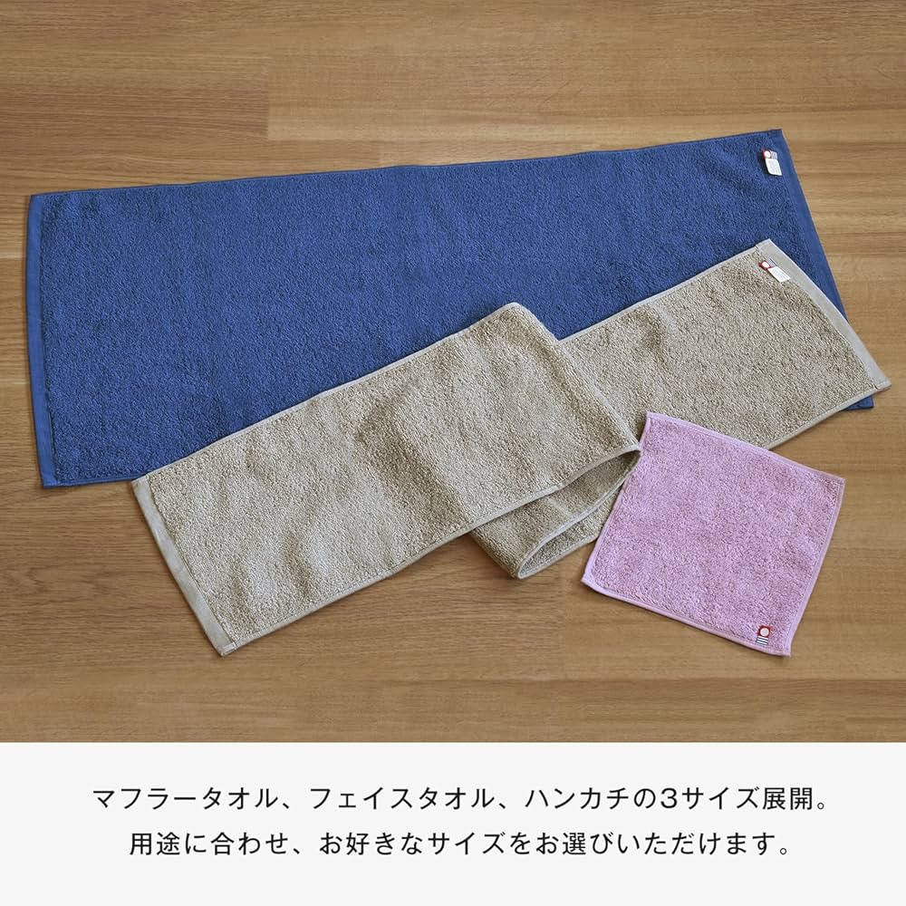 FOO FIGHTERS マフラータオル 20×107cm 限定500名のグッズ FOO FIGHTERS マフラータオル 20×107cm 限定500名のグッズ