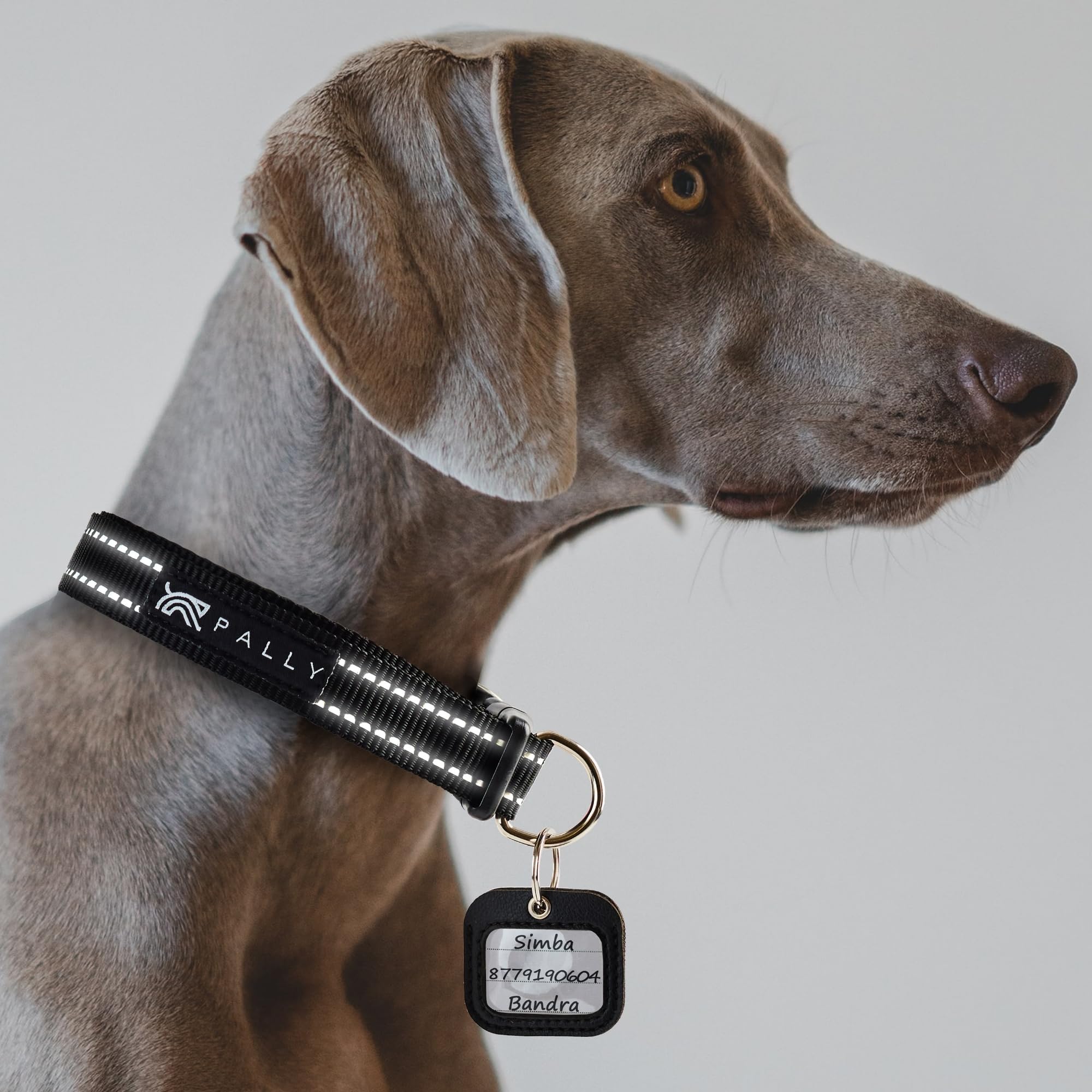 PALLY Pets Products Adjustable Reflective Dog Collar with Name Tag, Polyester Dog Belt with Pet ID (Medium) (B0CXDJMWZB) Amazon Price History, Amazon Price Tracker