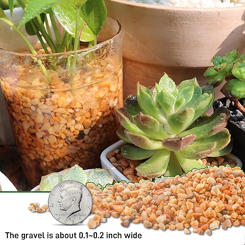 Miniatura 3 de Rocas de grava de cactus y guisantes de 45 libras, guijarros de 15 pulgadas para plantas de interior, rocas suculentas naturales y rocas de río