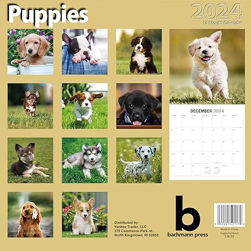 Miniatura 2 de OCD Bargain - Calendario de pared 2023 de 16 meses, diferentes diseños, bloque sin rayas con papel grueso y caja de notas, hermoso color impreso