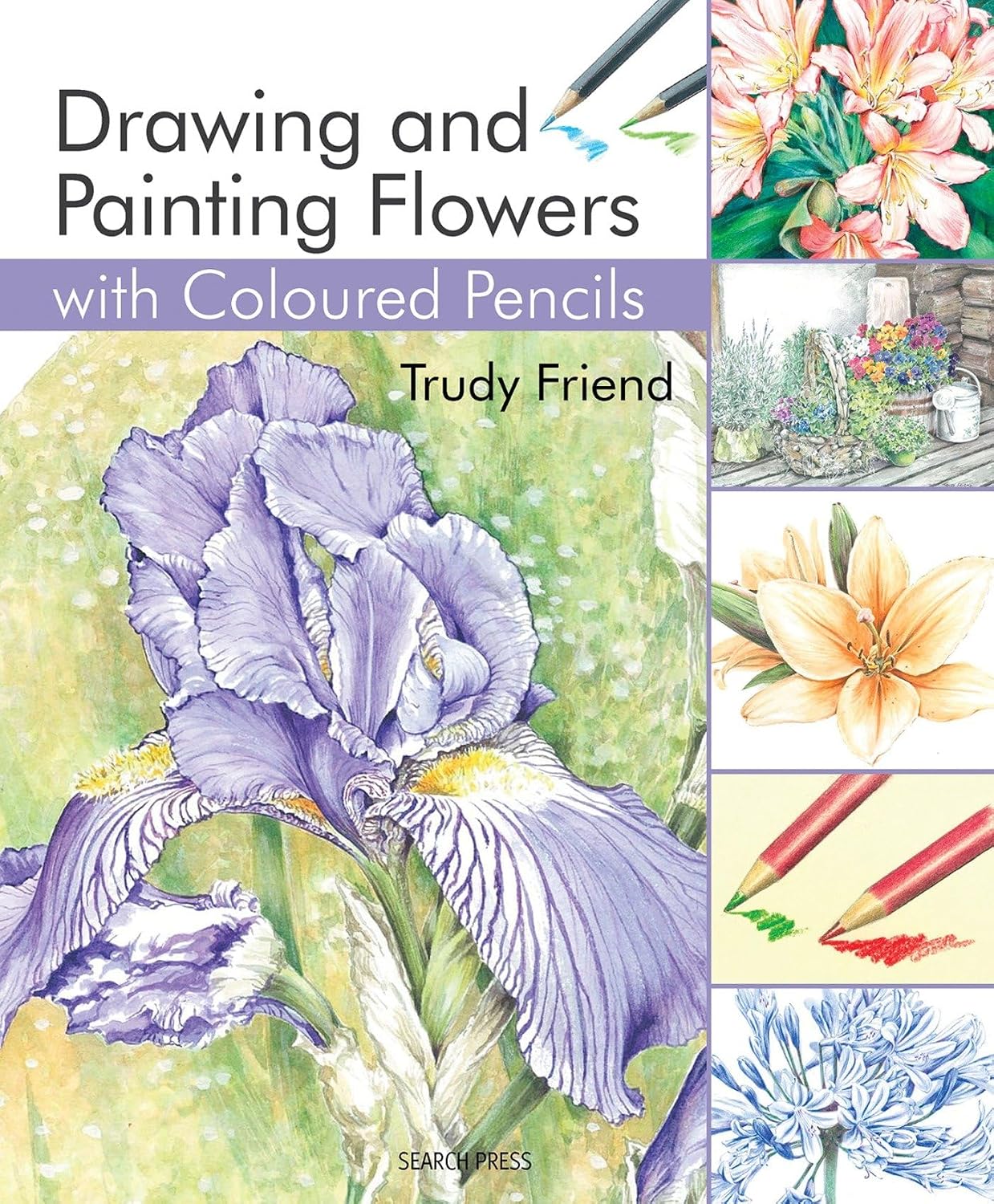 Drawing and Painting Flowers with Coloured Pencils