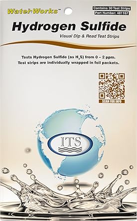 Industrial Test Systems 481167 WaterWorks Hydrogen Sulfide Water Test Strips, 30 foil Packed Tests