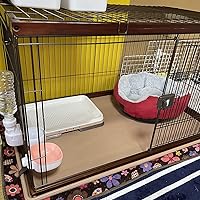 Amazon | コーナン オリジナル インテリアサークル WOODY L オーク