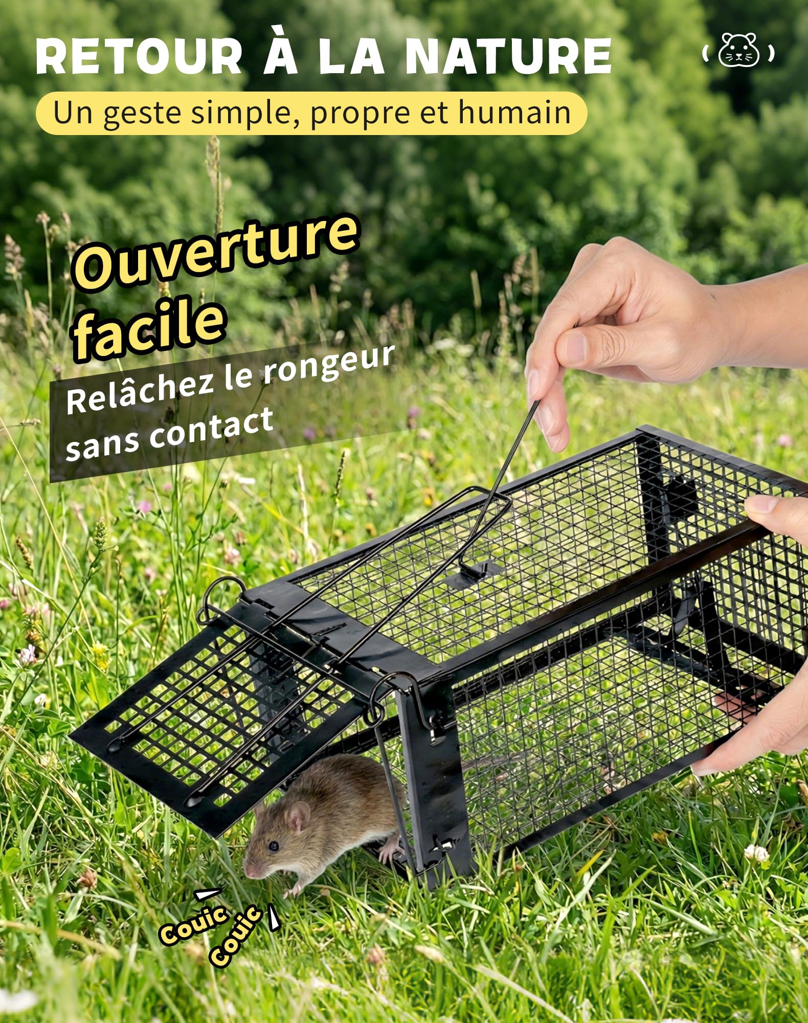 Hoe ratten en muizen bestrijden Hoe ratten en muizen bestrijden