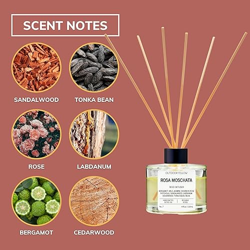 Miniatura 3 de Rosa Moschata - Difusor de varillas  4 onzas líquidas  Fragancia de lujo  Larga duración