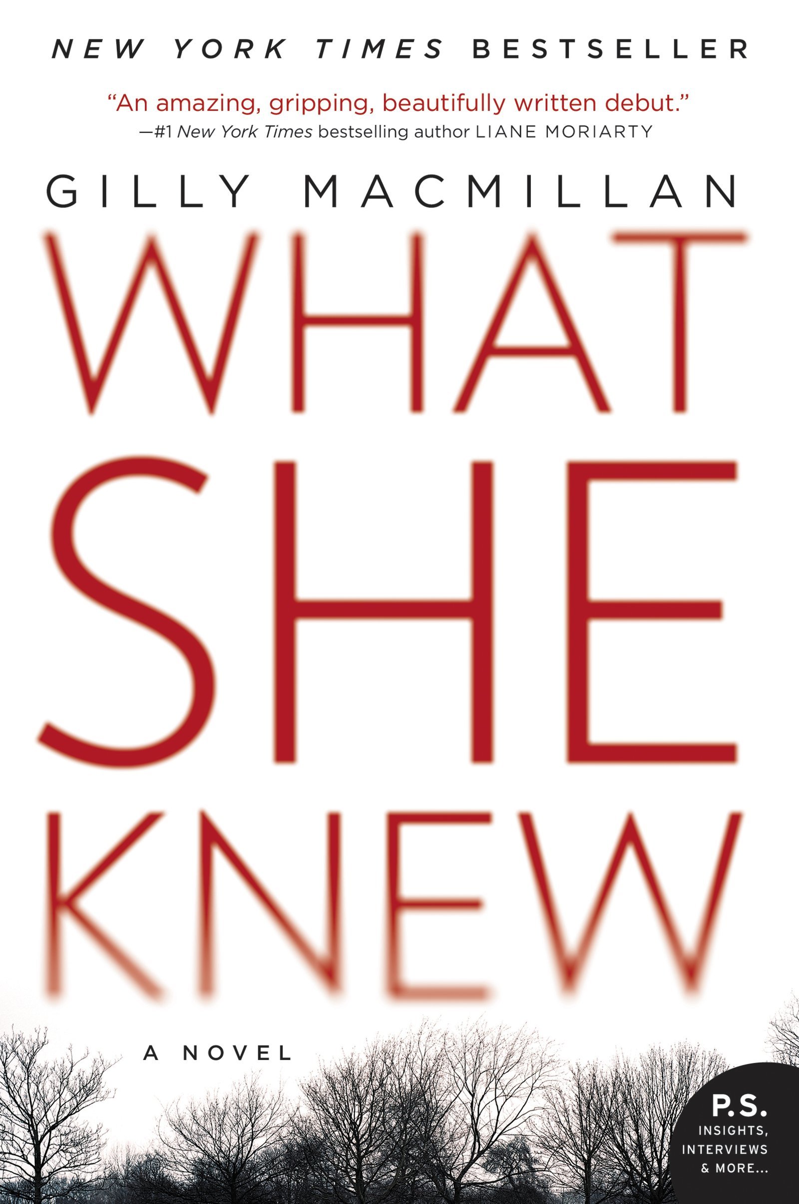 What She Knew: A British Domestic Thriller Where Kidnapping Reveals Deadly Family Secrets